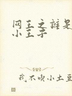 网王之谁是我的小王子