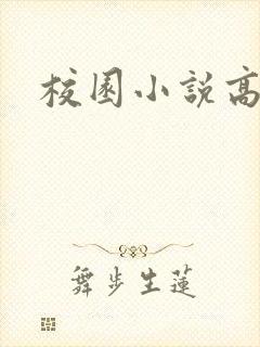 校园小说高h封面