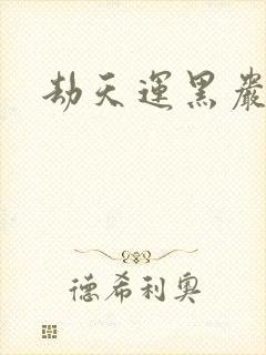 劫天运黑岩封面