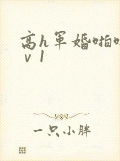 高h军婚啪啪1ⅴ1