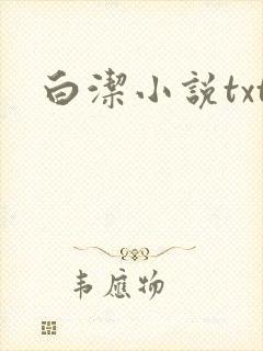白洁小说txt封面