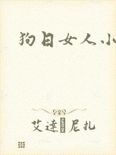 狗日女人小说封面