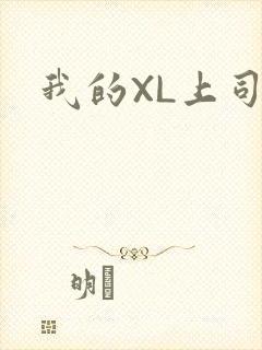 我的XL上司