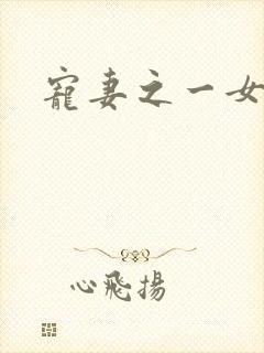 宠妻之一女二夫