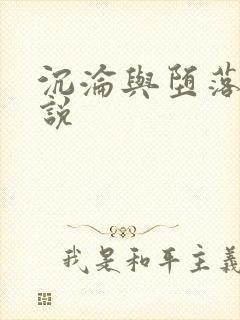 沉沦与堕落的小说封面