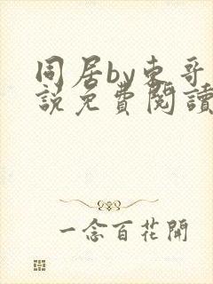 同居by东哥小说免费阅读全文无弹窗封面