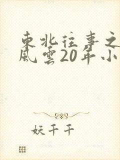 东北往事之黑道风云20年小说