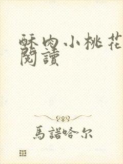 酥肉小桃花全文阅读封面