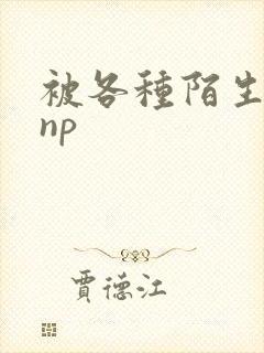 被各种陌生人 np