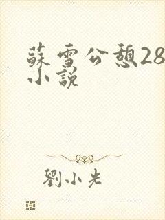 苏雪公憩28篇小说