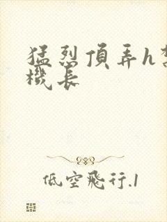 猛烈顶弄h禁欲机长