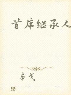 首席继承人封面