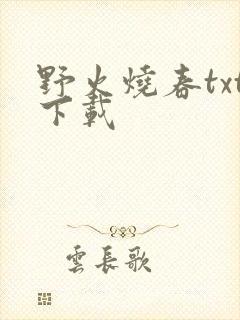 野火烧春txt下载