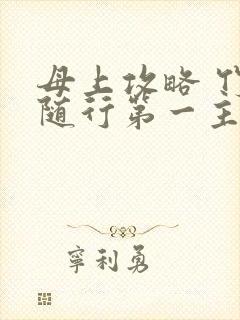 母上攻略 竹影随行第一主板