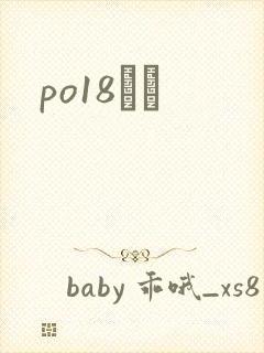 po18С˵封面