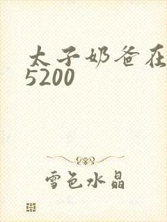 太子奶爸在花都5200