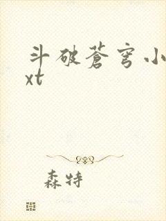 斗破苍穹小说txt封面