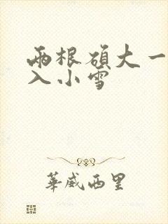 两根硕大一起挤入小雪