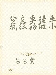 公交车后车座的疯狂的做小