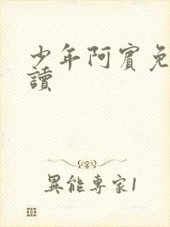 少年阿宾免费阅读封面