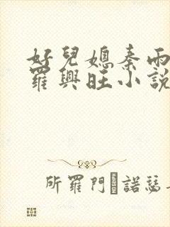 好儿媳秦雨罗明罗兴旺小说封面