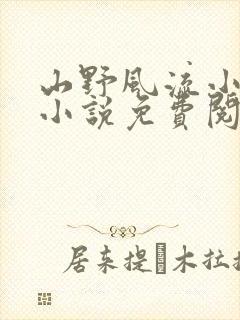 山野风流小神医小说免费阅读封面
