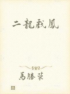 二龙戏凤