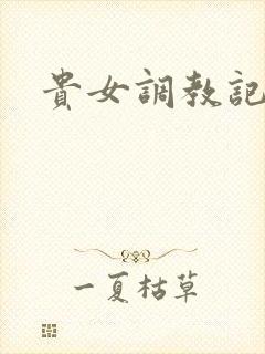 贵女调教记