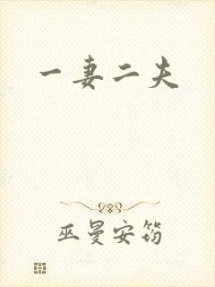 一妻二夫封面