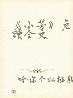 《小芳》免费阅读全文