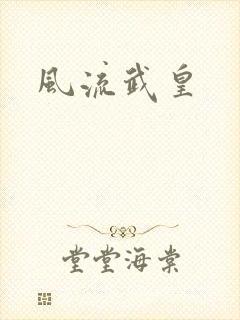 风流武皇