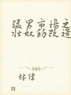 猛男市场之肌肉壮奴的改造封面