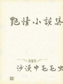 艳情小说集