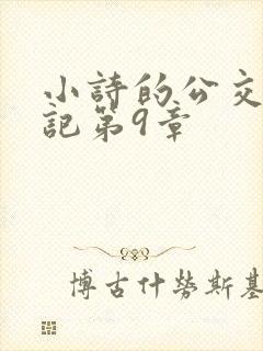 小诗的公交车日记第9章封面