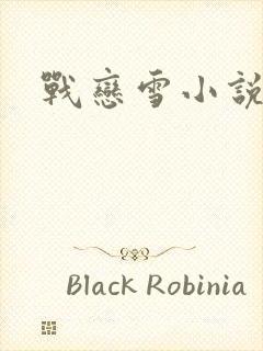 战恋雪小说