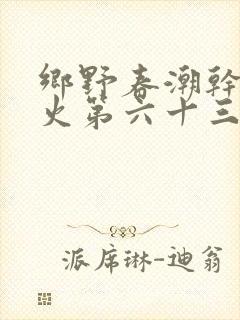 乡野春潮干柴烈火第六十三章封面