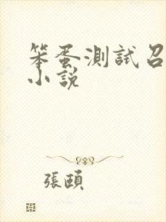笨蛋测试召唤兽小说