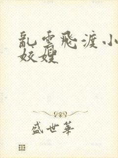 乱云飞渡小说之姣嫂