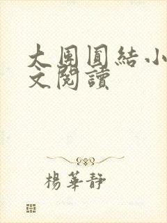 大团圆结小茹全文阅读