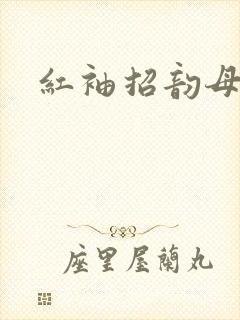 红袖招韵母攻略