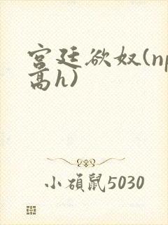 宫廷欲奴(np高h)