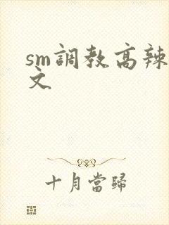 sm调教高辣h文