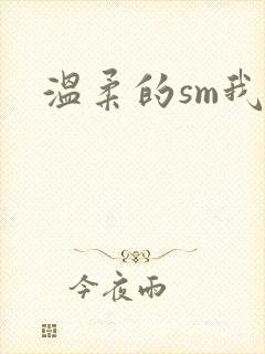 温柔的sm我封面