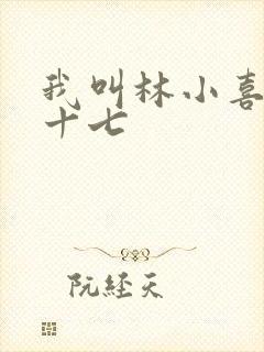 我叫林小喜今年十七