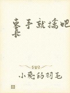 束手就擒吧韩队长