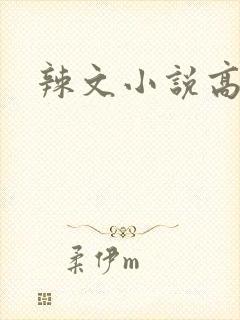 辣文小说高h
