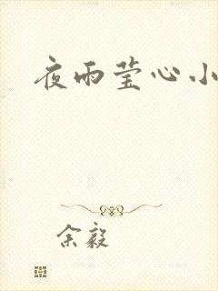 夜雨莹心小说