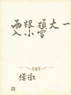 两根硕大一起挤入小雪封面