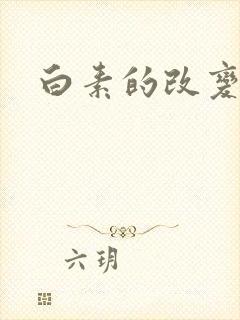 白素的改变封面