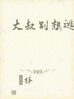 大叔别想逃